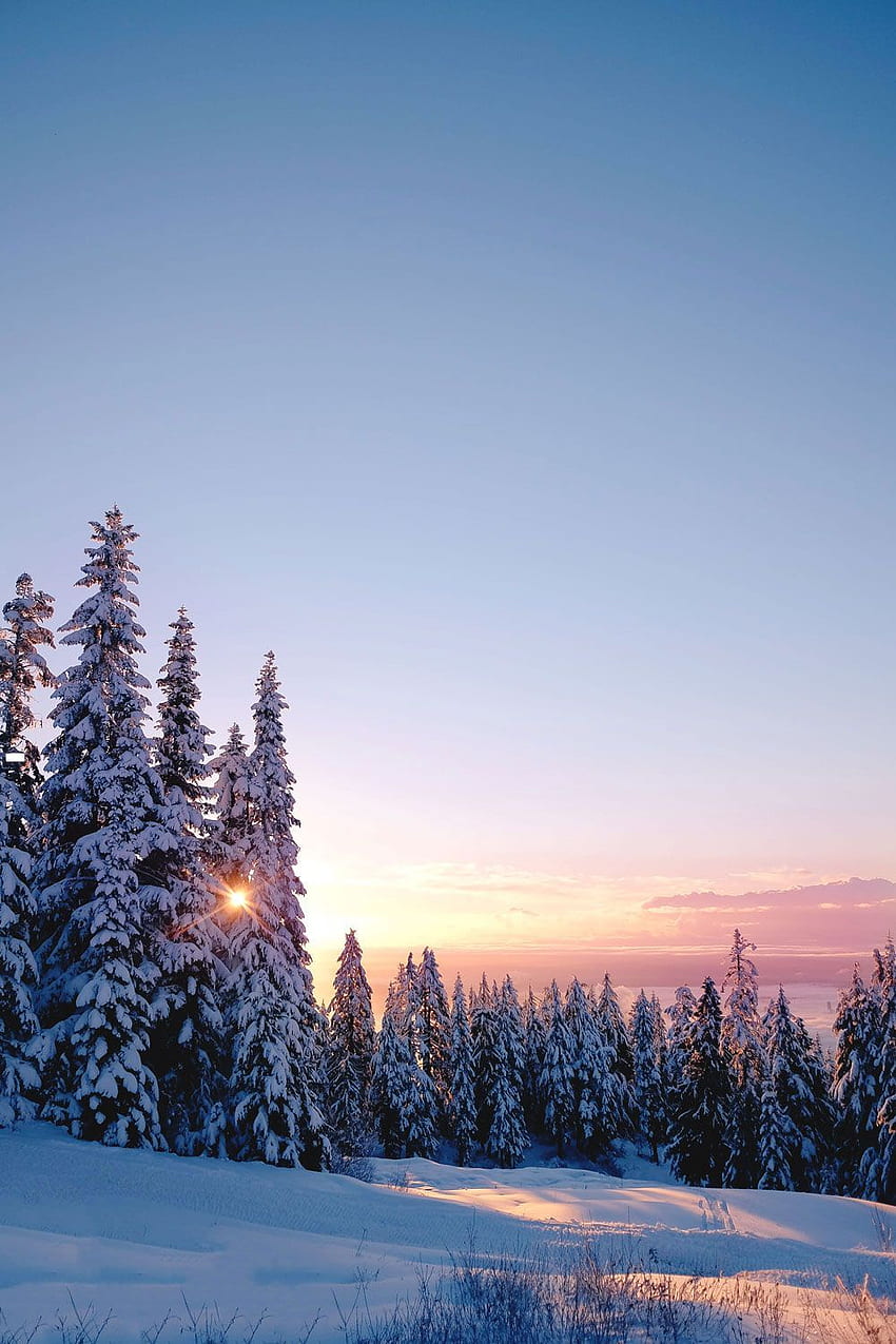 Things to do in Vancouver at Christmas - Grouse Mountain Peak of Christmas ice skating, snowshoeing and in 2020. 山の風景, 冬, ネイチャーグラフィー, バンクーバー山脈 HD電話の壁紙