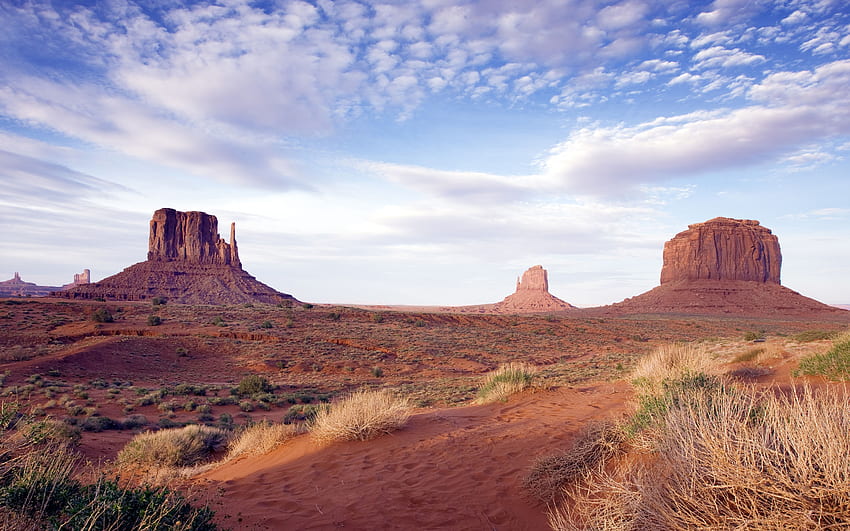 Geniş Ekran Arkaplan Arizona Çölü Manzaraları HD duvar kağıdı