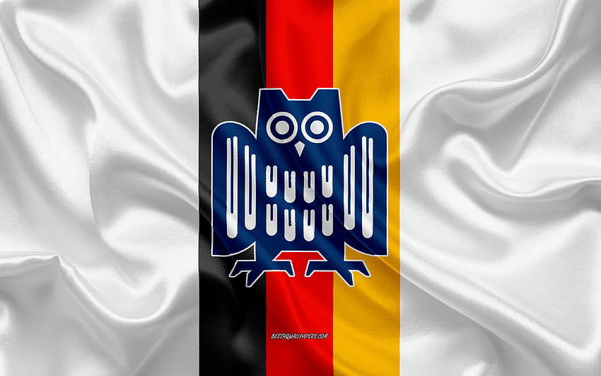 Emblem der Universität des Saarlandes, deutsche Flagge, Logo der Universität des Saarlandes, Saarland, Deutschland, Universität des Saarlandes HD-Hintergrundbild