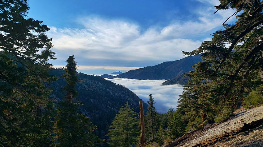 Ice House Canyon Trail, Mt Baldy, California, morning, landscape, fogsky, clouds, trees, mountains, usa HD wallpaper