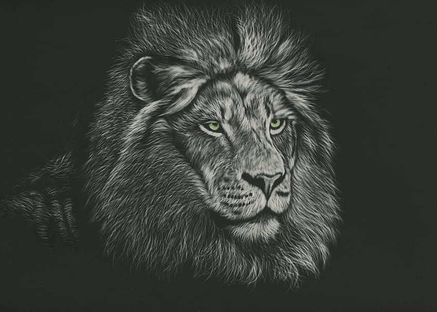 Sztuka, lew, drapieżnik, grzywa, król zwierząt, król zwierząt Tapeta HD