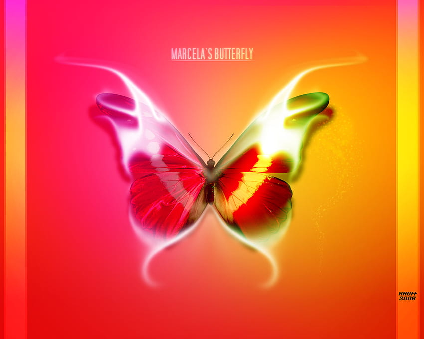Marcela's Butterfly, uroczy, natura, motyl, pluskwa Tapeta HD