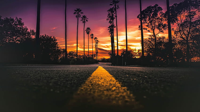 Street Of Los Angeles - California Sunset -, Cool Los Angeles HD wallpaper