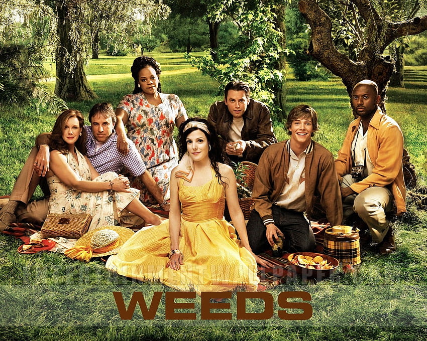 Weeds, Weeds TV Drama, Weeds TV Comedy Drama, Weeds TV Show HD wallpaper