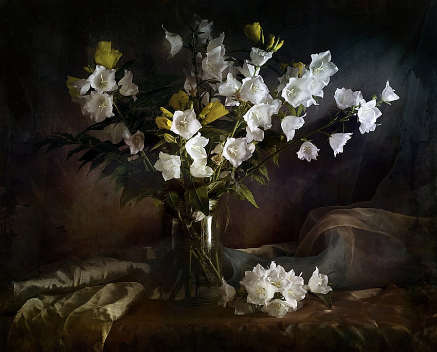 Vaso de flores brancas, natureza morta, vaso de vidro, branco, xale, lindo, flores, água papel de parede HD