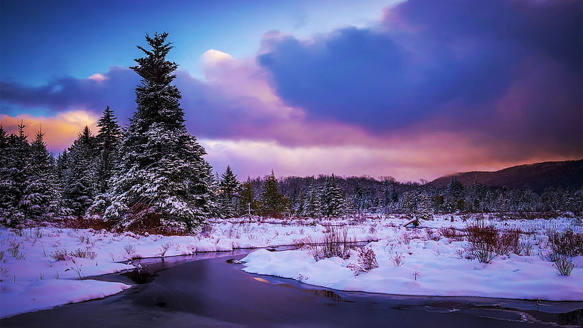 A snowy river and bog in the West Virginia Highlands, winter, snow, clouds, landscape, trees, sky, sunset, usa HD wallpaper