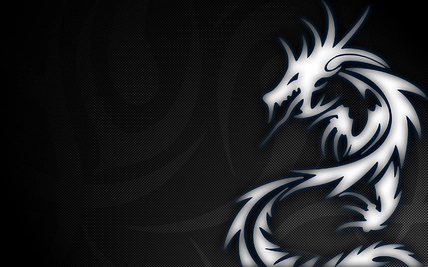 Best Boys, Extremely Cool Dragon HD wallpaper
