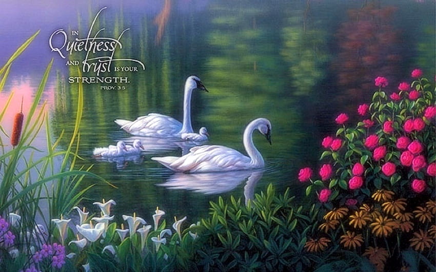 Swan Family - Verse, attractions in dreams, paintings, spring, summer, parks, love four seasons, lakes, swans, family, nature, flowers HD wallpaper