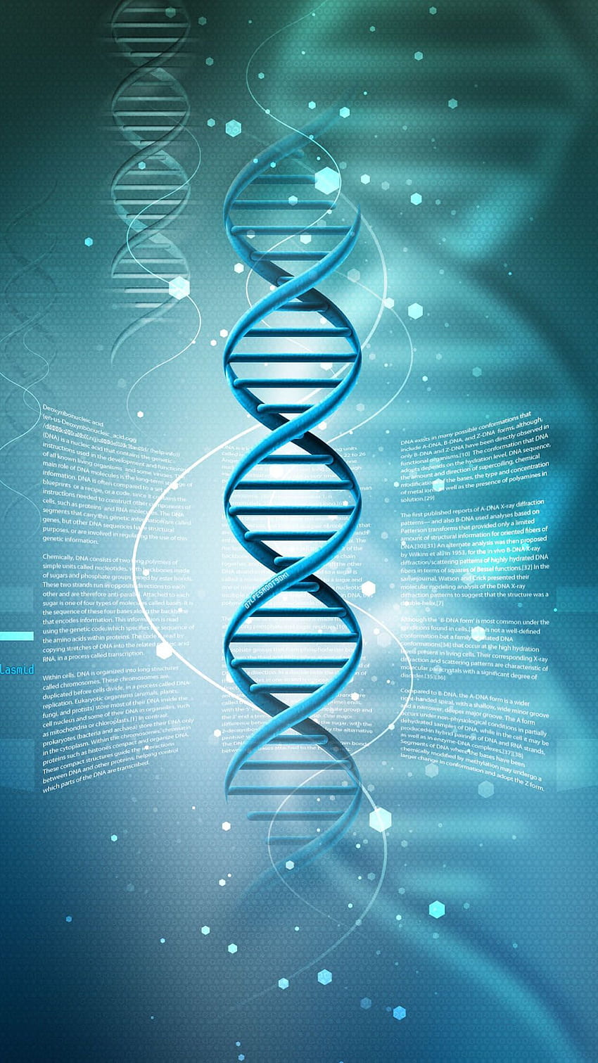 DNA iPhone, Concentration HD phone wallpaper