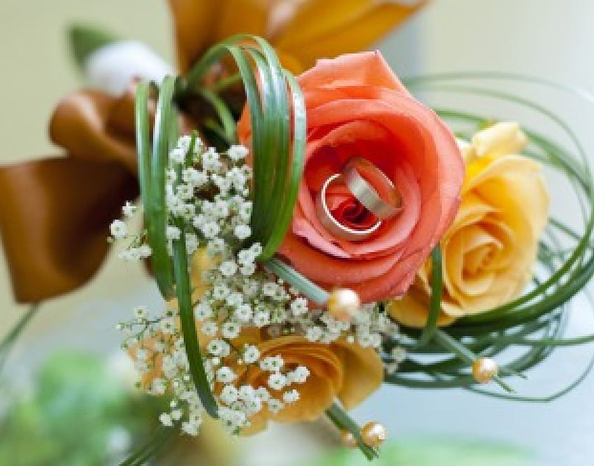 * Giorno speciale *, anelli, bouquet, rose, giorno speciale, bellissimo, matrimonio, petali, amore, fiori Sfondo HD