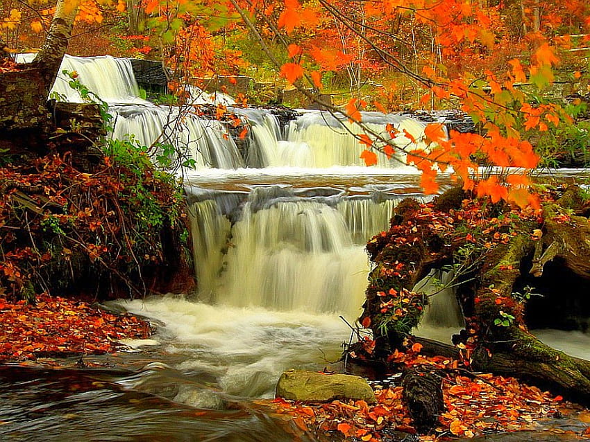 Cascade incroyable, cool, beauté de la nature, cascades, incroyable Fond d'écran HD
