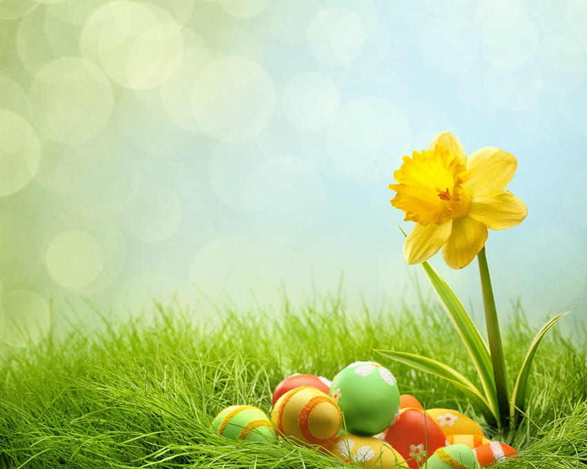 Waktu Paskah, rumput, bunga, Paskah, telur Wallpaper HD