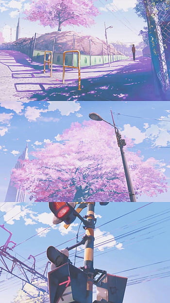 Cute cherry blossoms anime scenery HD wallpapers | Pxfuel