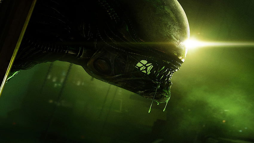 Извънземно . Страхотен Alien, Alien и Alien Emoji, Cool Green Alien HD тапет