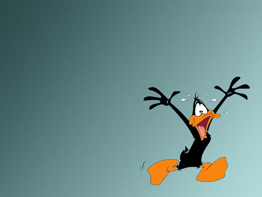 Daffy Duck Looney Tunes - , висока разделителна способност, високо качество HD тапет