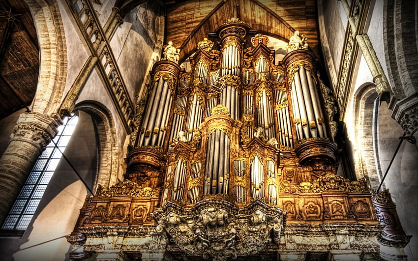 magnifico organo da chiesa r, ornato, organo, canne, r, chiesa Sfondo HD