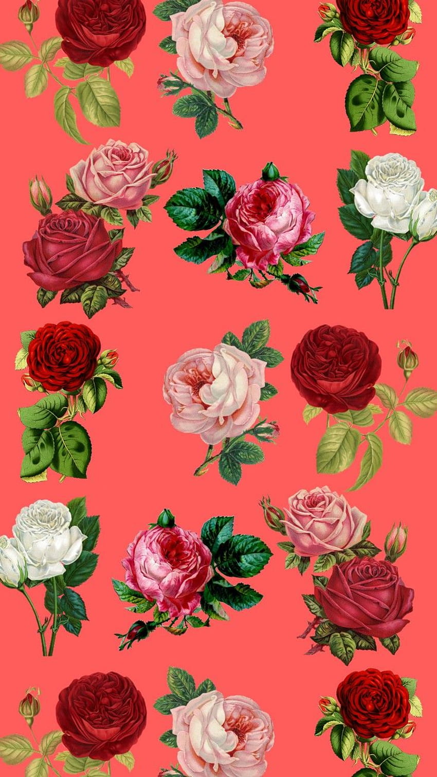 Colorful Painting Roses Flowers Floral Flower, Real Floral HD phone  wallpaper | Pxfuel