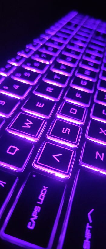 Neon keyboard on black background modern Vector Image