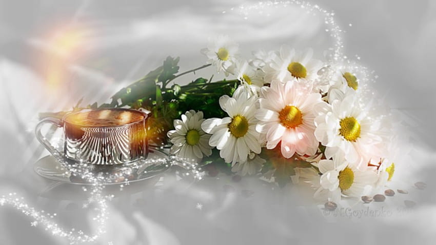 Dayses In Stile, romantic, white, flowers, dayses HD wallpaper