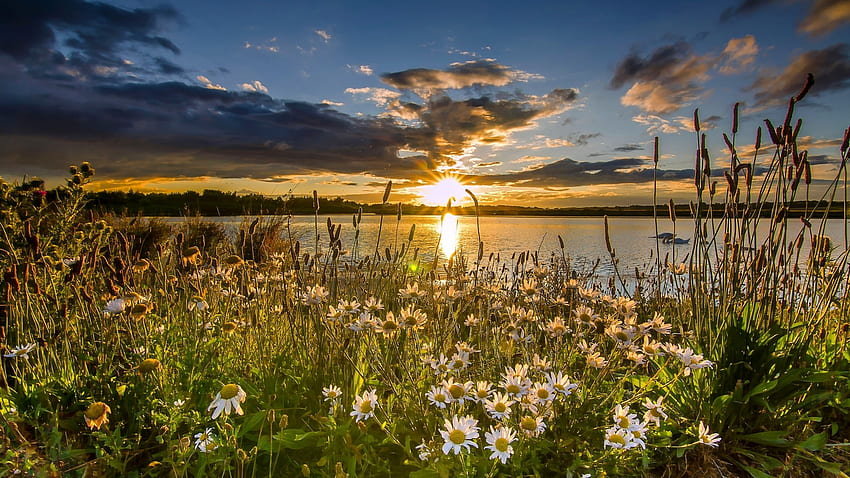 Lake in West Yorkshire, England, landscape, trees, clouds, flowers, sky, water, reflections, sunset HD wallpaper