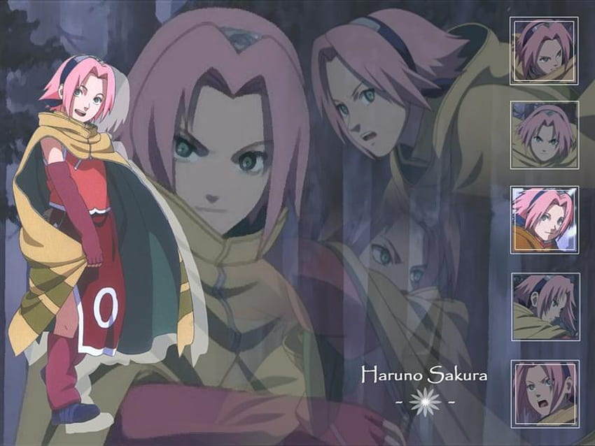 Sakura, girl, snowy, stuff, anime HD wallpaper