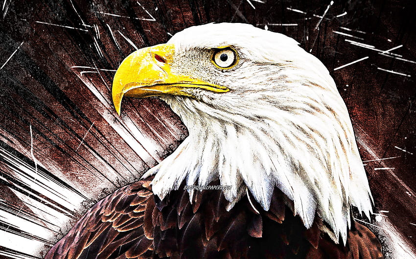 Bald Eagle, grunge art, USA symbol, creative, birds of North America, eagle, brown abstract rays, Haliaeetus leucocephalus, Bald Eagle HD wallpaper