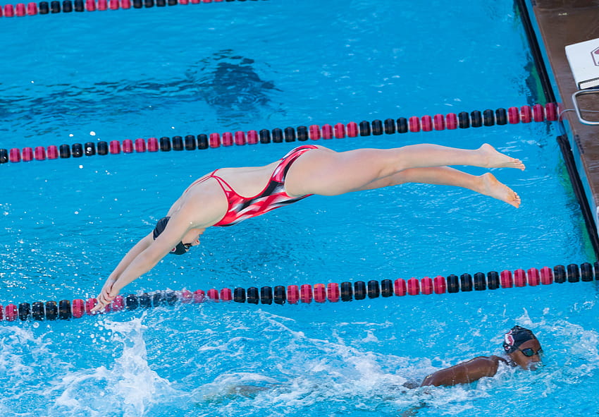 Jak pływacy olimpijscy radzą sobie z okresami, pływanie konkurencyjne Tapeta HD