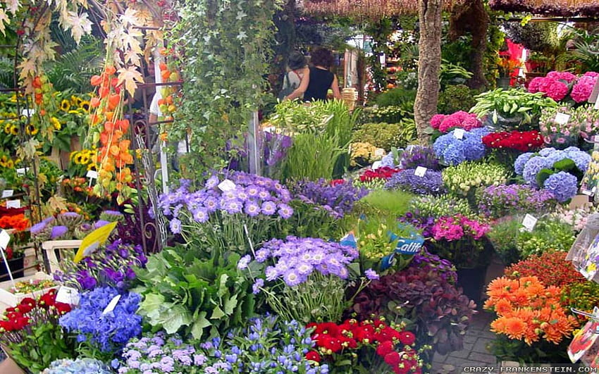 home flower gardens