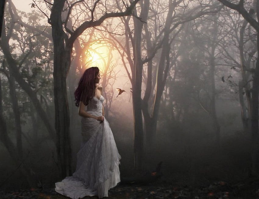 Разходка за запомняне, птица, гора, слънчева светлина, момиче, красиво, мъгливо, жена, мъгла, бяла рокля, фантазия, гора HD тапет