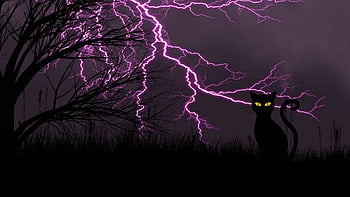 Lightning cat HD wallpapers | Pxfuel