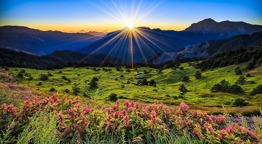 Nature, Flowers, Grass, Mountains, Dawn, Polyana, Glade HD wallpaper