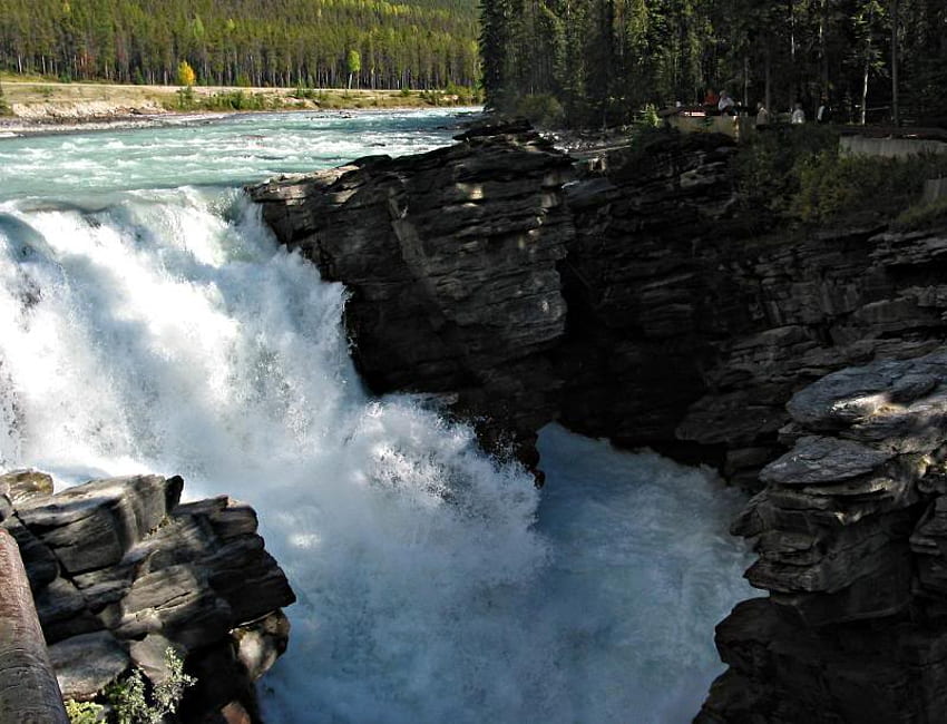 Athabasca Falls, Parque Nacional Jasper, Canadá, caídas, agua, roca, parque fondo de pantalla