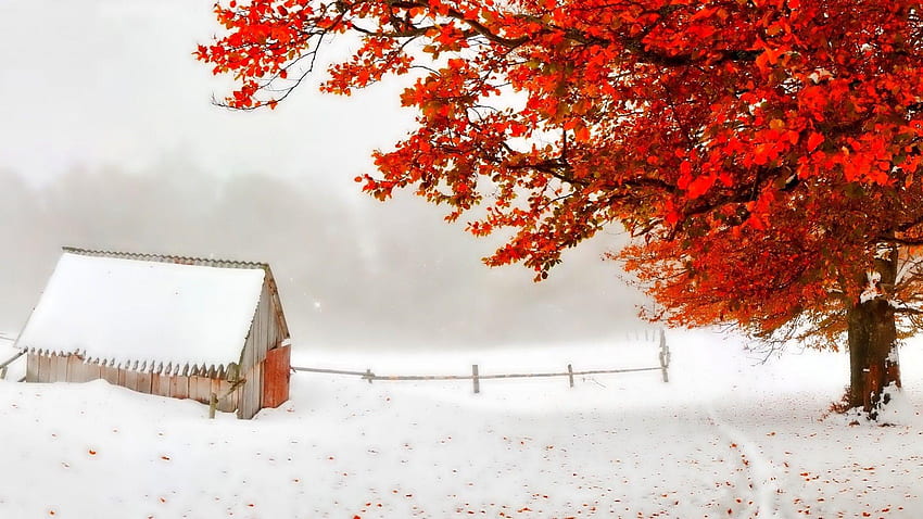 Есенен снеговалеж, червен сняг HD тапет