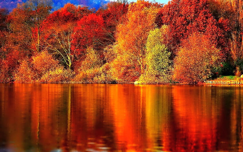 Interpretation of a dream in which you saw «Autumn». Fall , Fall , Autumn, Autumn Dreams HD wallpaper