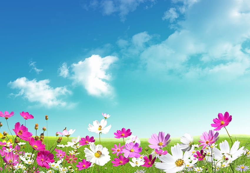 Spring. Spring 59, ,, Spring Scenes HD wallpaper | Pxfuel