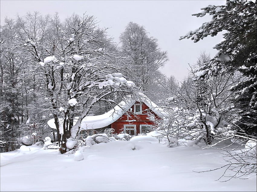 Koc zimy, zimy, mrozu, śniegu, czerwieni, drzew, domku, pokryty ziemią Tapeta HD