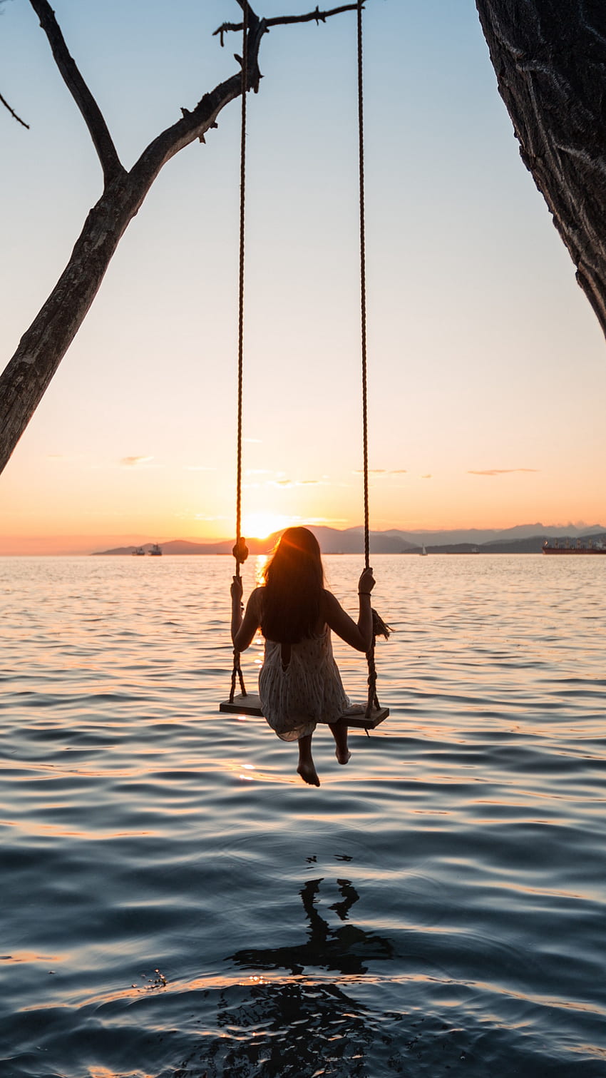 Silhouettes, girl, swings, cat, art, HD phone wallpaper | Peakpx