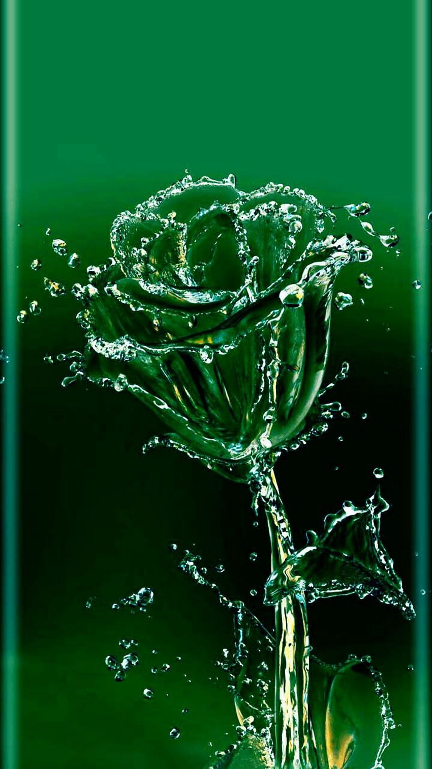 Premium AI Image | Green roses in the dark wallpapers