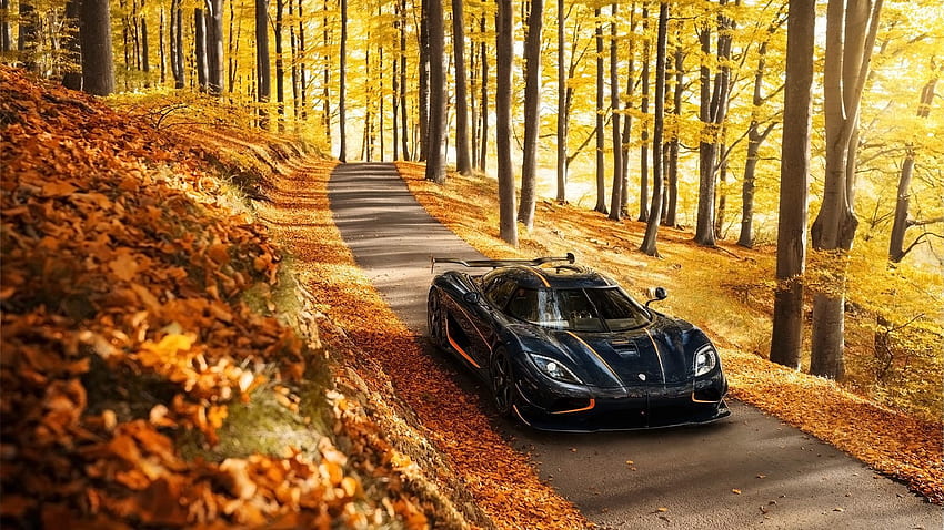 Коли, дървета, есен, Koenigsegg, страничен изглед, Rs, Agera HD тапет