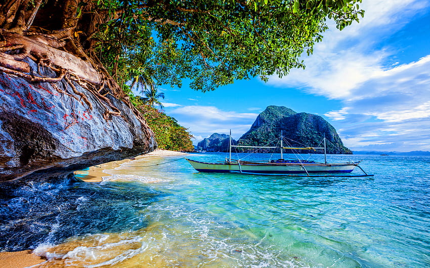 Filipinas, hermosa naturaleza, trópicos, paraíso, playa, palmeras, mar, agua azul, concepto de viaje, Asia, olas fondo de pantalla