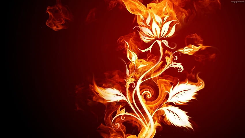 Awesome Fire Background, Fire Heart HD wallpaper