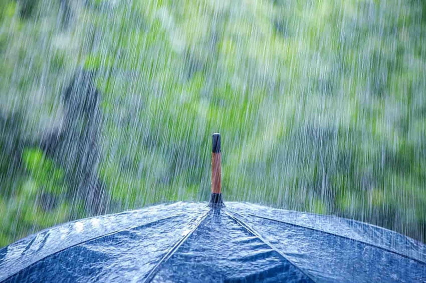 Rainy Weather > - Rain On Umbrella - HD wallpaper