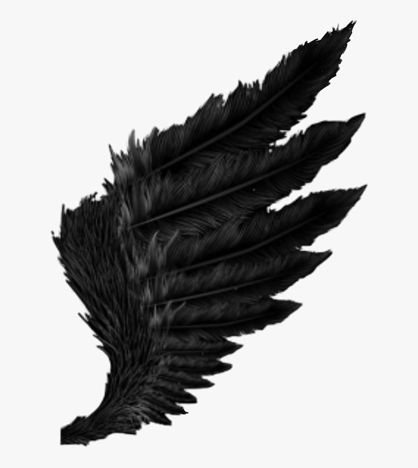 wing Black Feather Fallen Angel Dark Outfit Cool Amazing - , Png , Transparent Png , Dark Angel Wings HD電話の壁紙