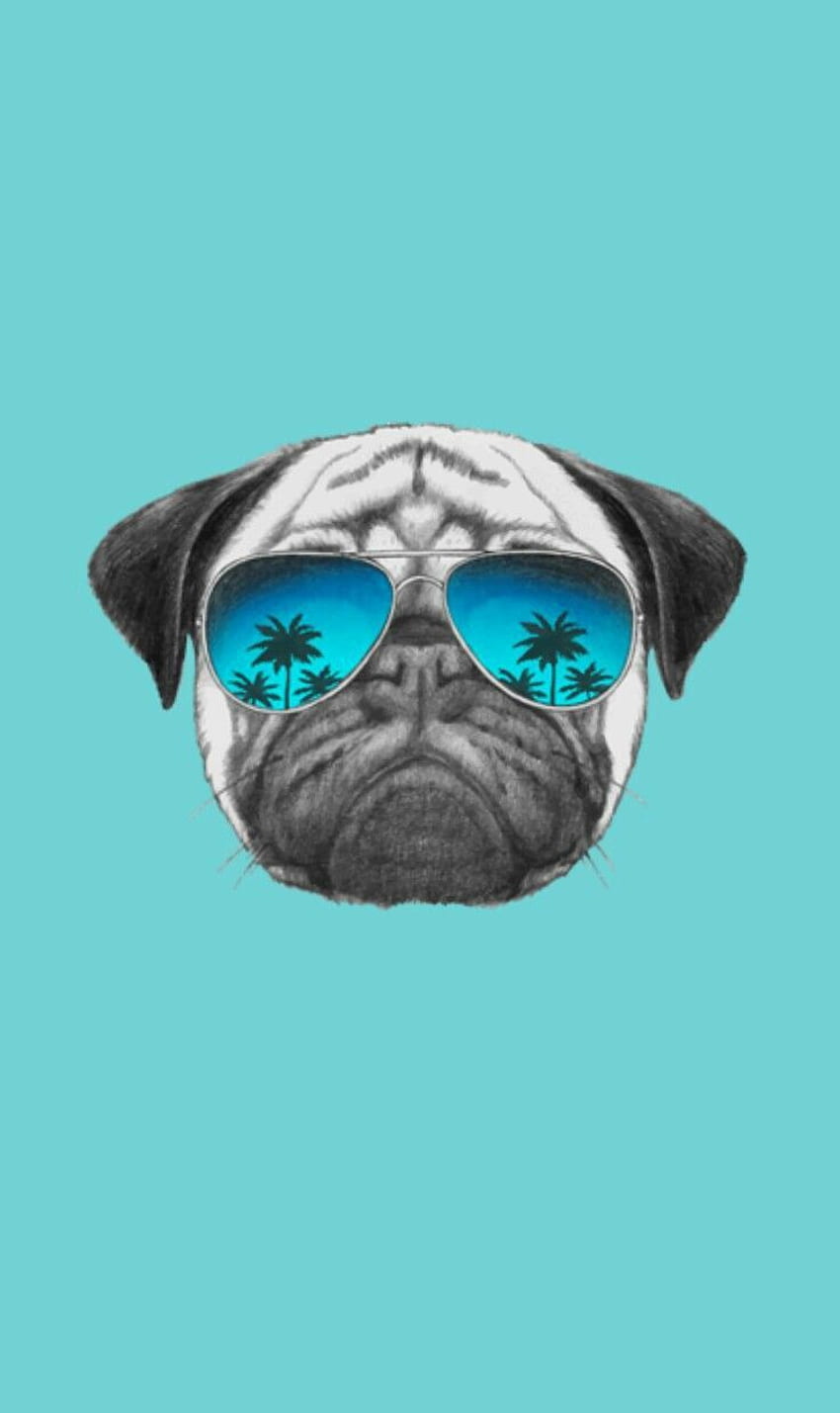 Page 2 | space pug HD wallpapers | Pxfuel