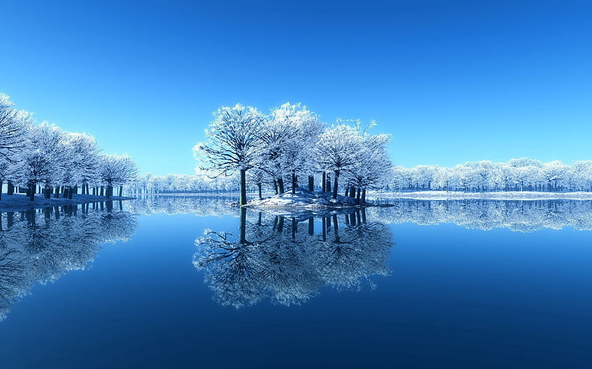 Nature, Trees, Lake, Surface, Hoarfrost, Frost, Island, Islet, Purity HD wallpaper