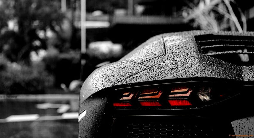 Lamborghini, Lamborghini scura Sfondo HD
