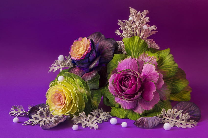 Kompozycja kwiatów, kompozycja, fiolet, martwa natura, kolorowe, ładne, piękne, kwiaty, urocze Tapeta HD