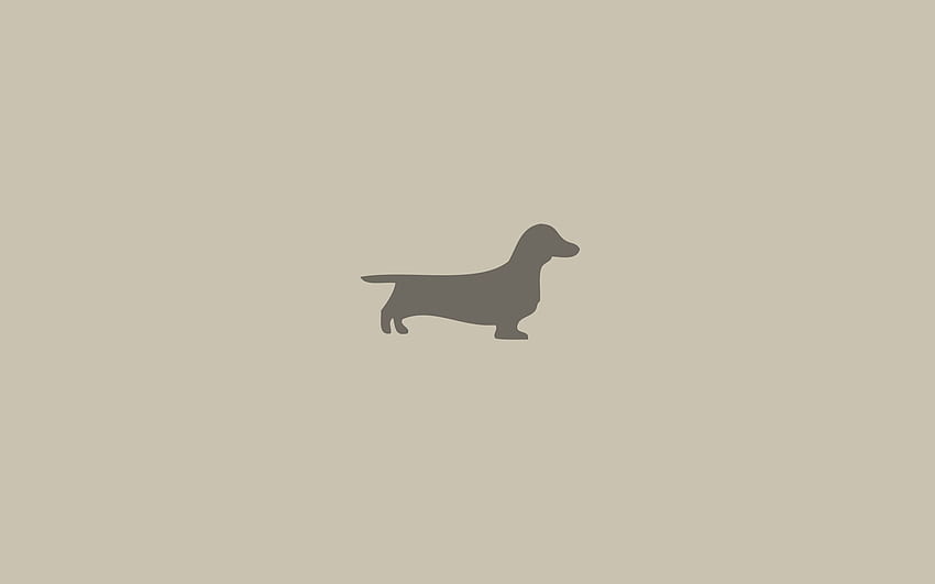 Hund, Minimalismus, Tier, Dackel HD-Hintergrundbild
