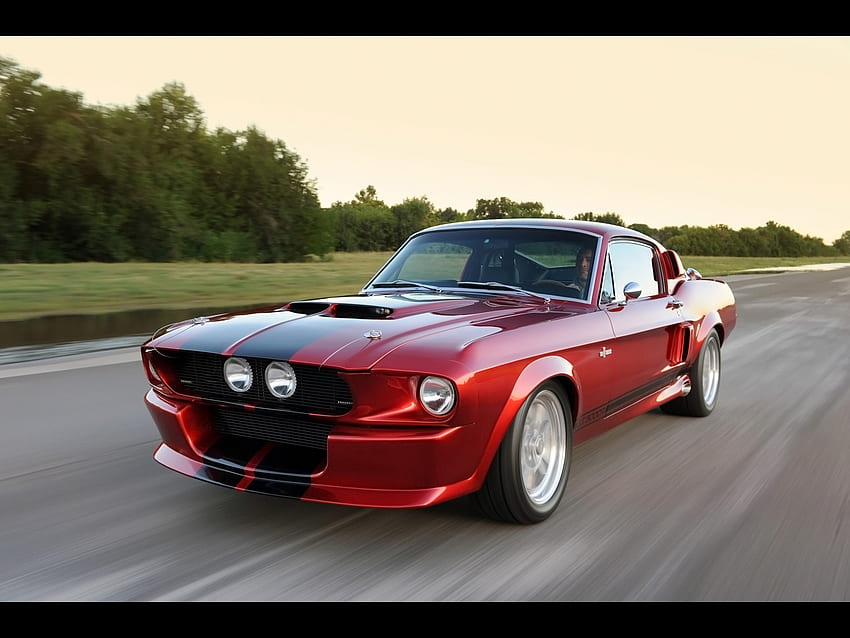 Shelby GT500CR, ford, mustang, shelby, mobil Wallpaper HD