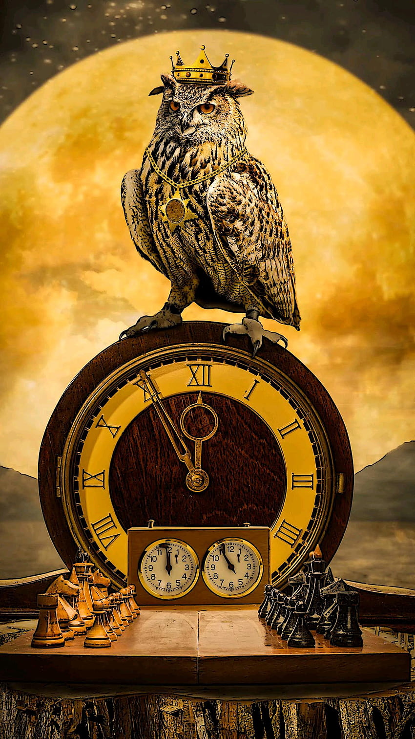 Owl 02, reloj, ajedrez, chess, naturaleza, tiempo, animal, clock, time fondo de pantalla del teléfono